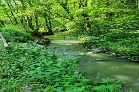 De Kleine Beer, Beau chalet en bois près de Durbuy avec balcon privé - Photo 29