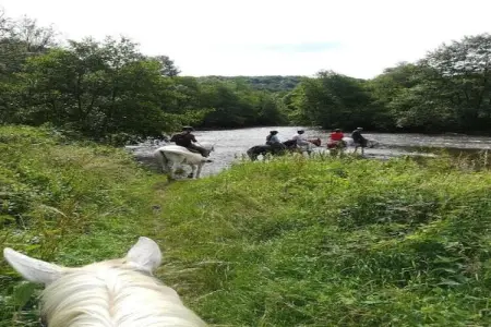 De Kleine Beer, Beau chalet en bois près de Durbuy avec balcon privé - Photo 37