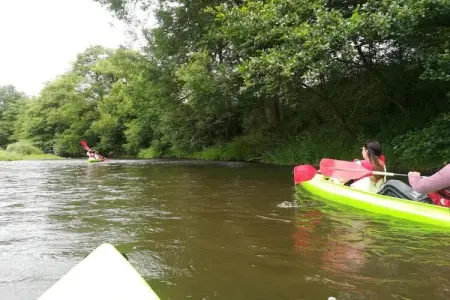 De Kleine Beer, Beau chalet en bois près de Durbuy avec balcon privé - Photo 38