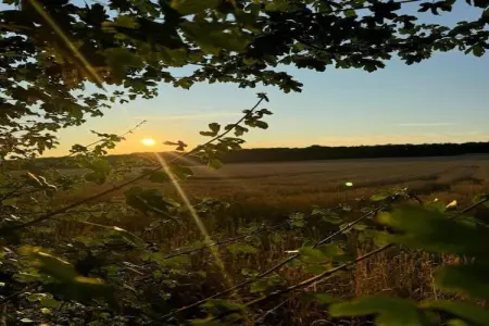 De Kleine Beer, Beau chalet en bois près de Durbuy avec balcon privé - Photo 39