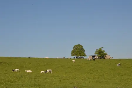 La Madeleine, Maison de vacances du XVIIIe siècle avec sauna, piscine intérieure, billard, BBQ et plaine de jeux. - Photo 18