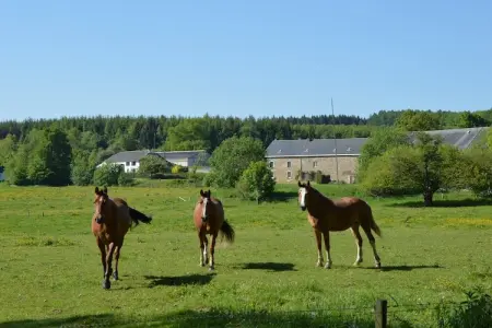 La Madeleine, Maison de vacances du XVIIIe siècle avec sauna, piscine intérieure, billard, BBQ et plaine de jeux. - Photo 19