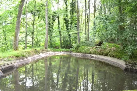 Le Moulin Sylvestre, Gîte d'époque avec jardin près de la forêt à Harre - Photo 19