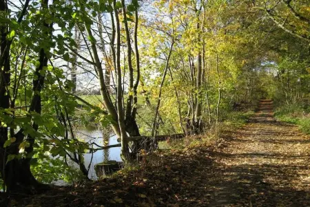 Le Moulin Sylvestre, Gîte d'époque avec jardin près de la forêt à Harre - Photo 23