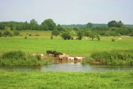 Le Moulin Sylvestre, Gîte d'époque avec jardin près de la forêt à Harre - Photo 25