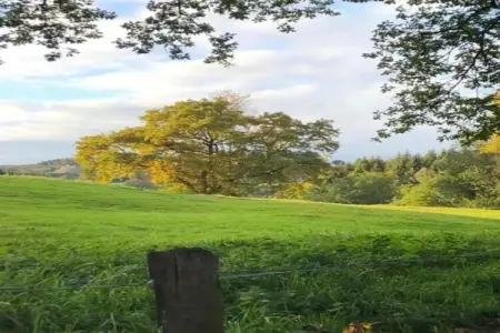 Le Moulin Sylvestre, Gîte d'époque avec jardin près de la forêt à Harre - Photo 28
