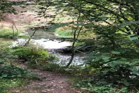Le Moulin Sylvestre, Gîte d'époque avec jardin près de la forêt à Harre - Photo 32