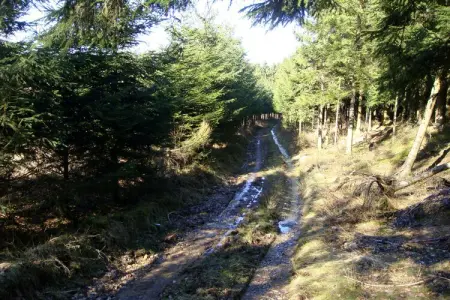 Villa Otium, Villa tranquille à Manhay avec jacuzzi - Photo 31