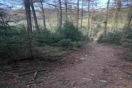 Villa Otium, Villa tranquille à Manhay avec jacuzzi - Photo 37