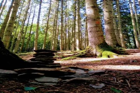 Les Rochettes Mars, Maison de vacances à La Roche-en-Ardenne avec terrasse - Photo 21