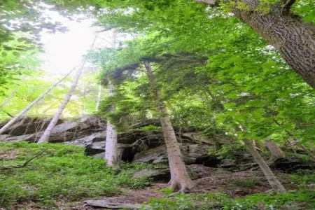 Les Rochettes Mars, Maison de vacances à La Roche-en-Ardenne avec terrasse - Photo 33