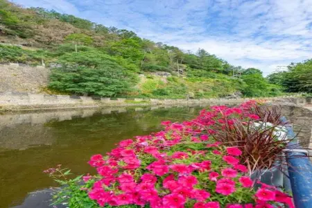 Les Rochettes Mars, Maison de vacances à La Roche-en-Ardenne avec terrasse - Photo 35