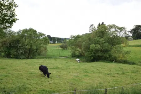 Maquis du cerf, Gîte cosy avec piscine dans les Ardennes - Photo 25