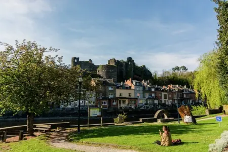 Maquis du cerf, Gîte cosy avec piscine dans les Ardennes - Photo 29