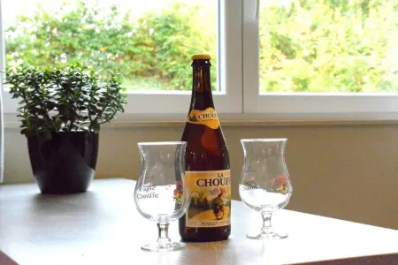 Li Moiny, Villa adaptée aux enfants à Berismenil près de la forêt - Photo 29