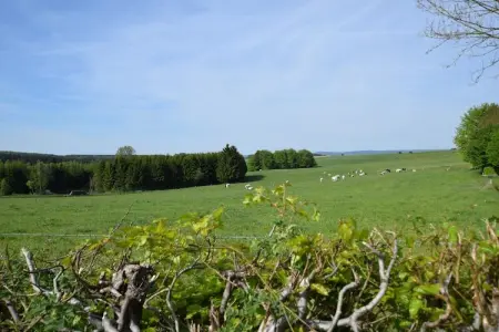 La Maison d Hives, Maison de vacances La Roche-en-Ardenne avec piscine - Photo 34