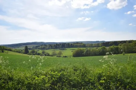La Maison d Hives, Maison de vacances La Roche-en-Ardenne avec piscine - Photo 35