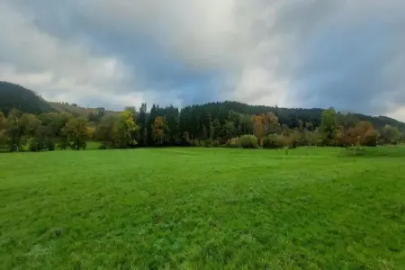 Les Petits Cotteaux, Gîte de luxe avec sauna situé à Warisy - Photo 30