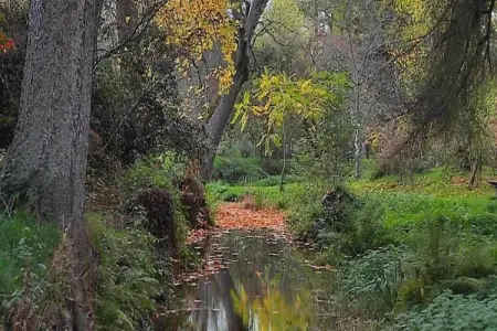 Les Petits Cotteaux, Gîte de luxe avec sauna situé à Warisy - Photo 38