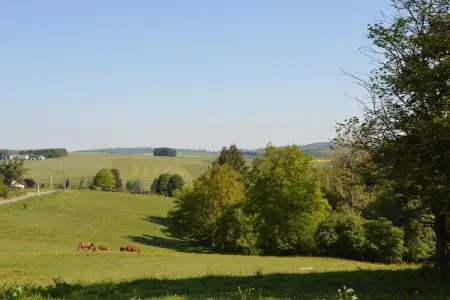 Presbytère, Maison de vacances confortable avec jardin située à Hotton - Photo 23