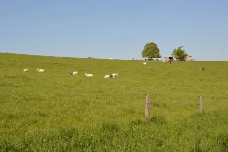 Fermette Erpigny, Maison de vacances rénovée à Érezée avec sauna - Photo 19