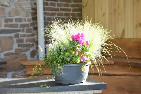 Au Bord de la Rivière, Grand gîte à Érezée avec sauna - Photo 37