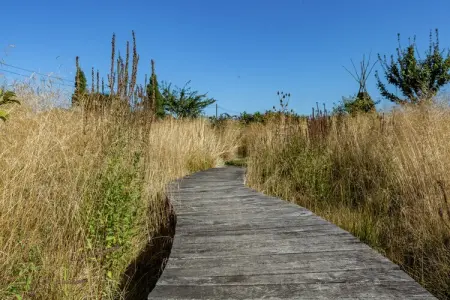 't Patershuys, Ferme accueillante avec jardin clôturé proche lac à Vleteren - Photo 23