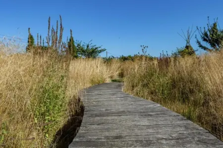 't Patershuys, Ferme accueillante avec jardin clôturé proche lac à Vleteren - Photo 36