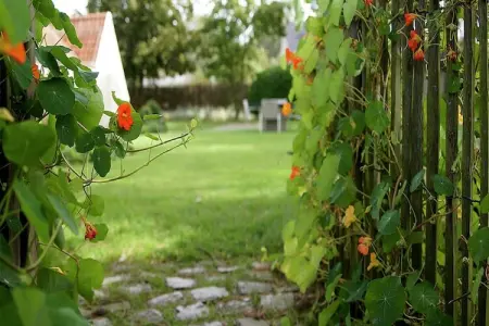 Villa Deman, Maison de vacances luxueuse à Koksijde avec sauna - Photo 27