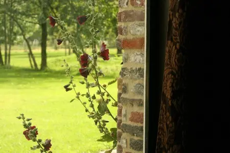 Stalvleugel, Maison de vacances rurale avec sauna et piscine à Beernem - Photo 39