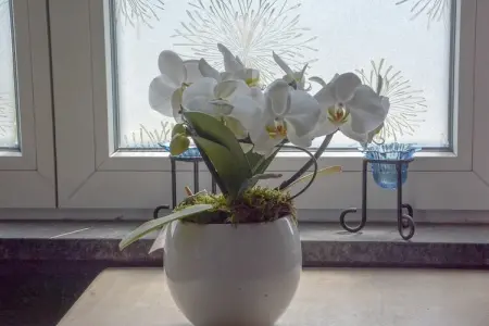 Chalet Den Keibilk, Chalet confortable avec jardin privé près du lac à Westouter - Photo 28