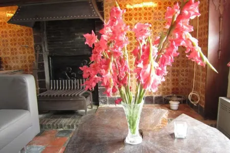 Het Boerderijtje, Maison de vacances avec jardin clôturé en forêt à Proven - Photo 10