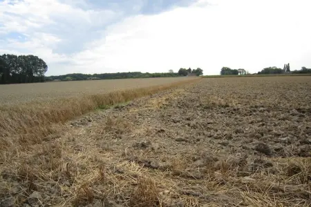 Het Boerderijtje, Maison de vacances avec jardin clôturé en forêt à Proven - Photo 33