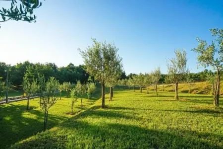 Het Boerderijtje, Maison de vacances avec jardin clôturé en forêt à Proven - Photo 36