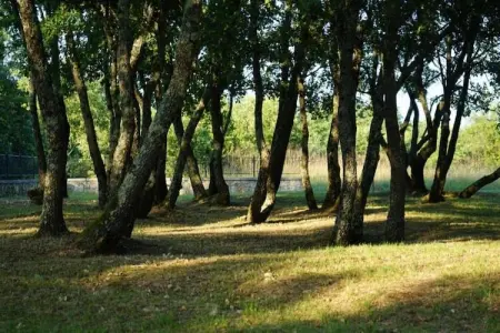 Het Boerderijtje, Maison de vacances avec jardin clôturé en forêt à Proven - Photo 37