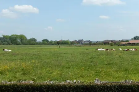 't Granzeke, Charmante maison de vacances proche de la forêt à Zele - Photo 22