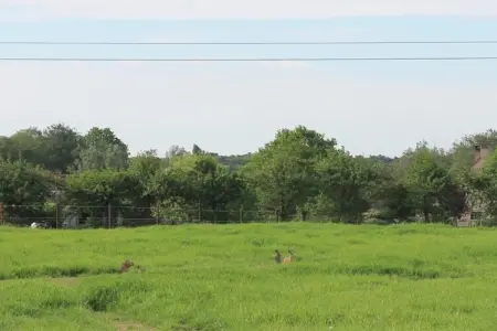 't Granzeke, Charmante maison de vacances proche de la forêt à Zele - Photo 23