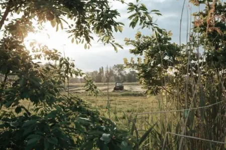 't Granzeke, Charmante maison de vacances proche de la forêt à Zele - Photo 25