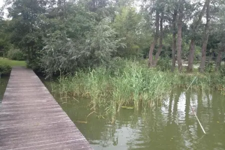 't Granzeke, Charmante maison de vacances proche de la forêt à Zele - Photo 27