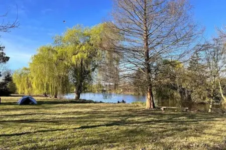 't Granzeke, Charmante maison de vacances proche de la forêt à Zele - Photo 28