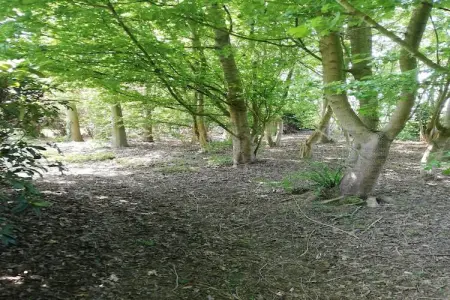 Nuvola, Villa luxueuse avec sauna à Zottegem pour des familles - Photo 24