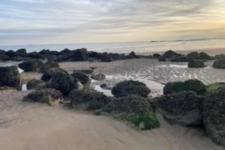 't Margrietje1, Maison de vacances moderne avec jardin à Zingem - Photo 23