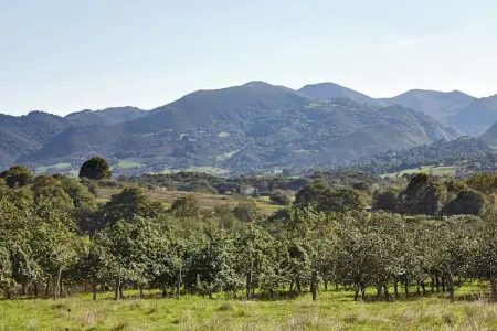 Pruneda III, Demeure spacieuse à Nava avec piscine - Photo 31