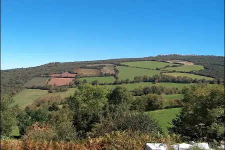 Pruneda III, Demeure spacieuse à Nava avec piscine - Photo 32