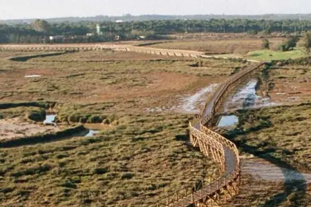 Finca Los Niños, Villa spacieuse avec piscine privée à El Algar - Photo 39