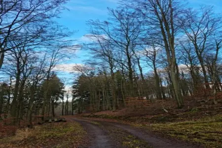 Casa Kola, Appartement dans villa avec belle vue mer et piscine commune - Photo 22