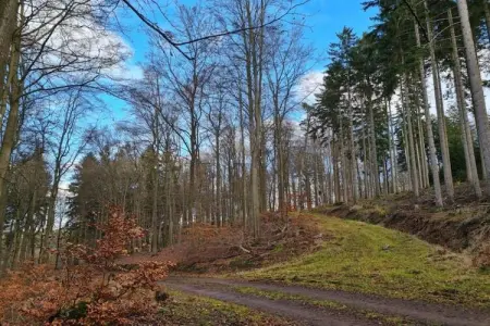 Casa Kola, Appartement dans villa avec belle vue mer et piscine commune - Photo 24