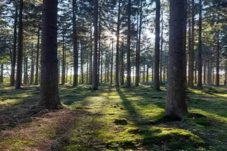 Casa Kola, Appartement dans villa avec belle vue mer et piscine commune - Photo 28