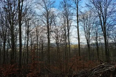 Casa Kola, Appartement dans villa avec belle vue mer et piscine commune - Photo 30