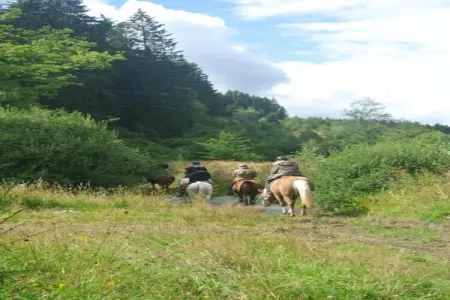 Villa Fairmont, Villa avec emplacement unique, piscine privée, terrasses, vue sur Javea - Photo 37